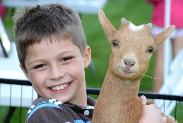 Blog 5 Record Turnout at Village at Proprietors Green Family Fun Day