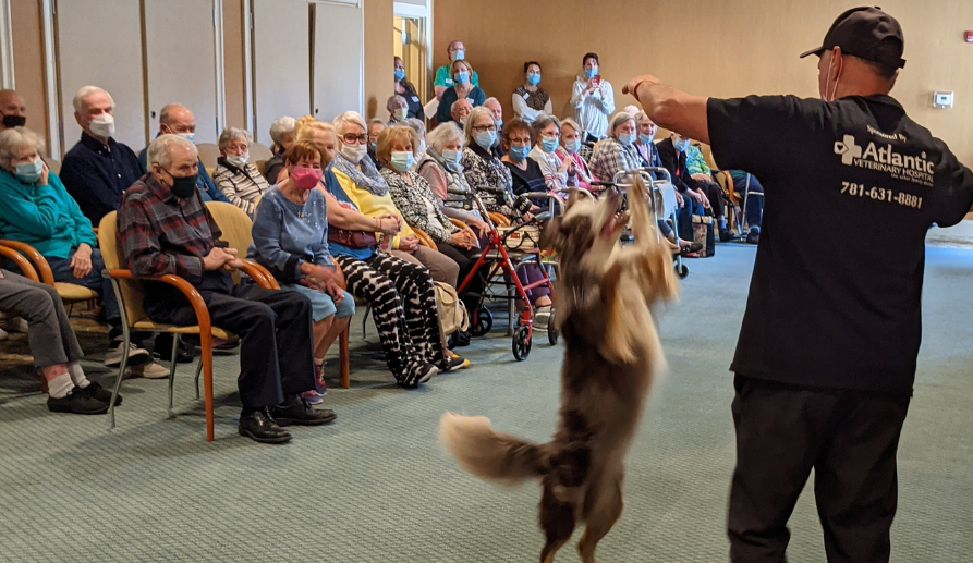 A man performing with a dog in front of an audience